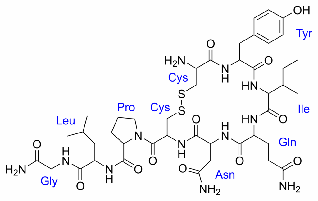 semen benefits oxytocin